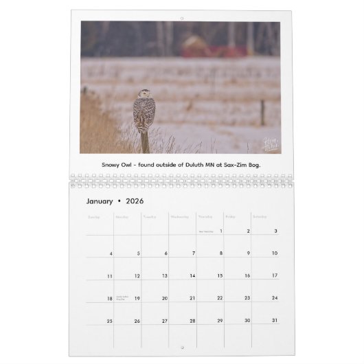 2026 Wildlife Calendar by Kevin Harris Kalender (Jan 2026)