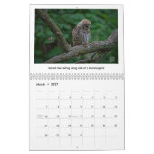 2026 Wildlife Calendar by Kevin Harris Kalender (Mar 2027)
