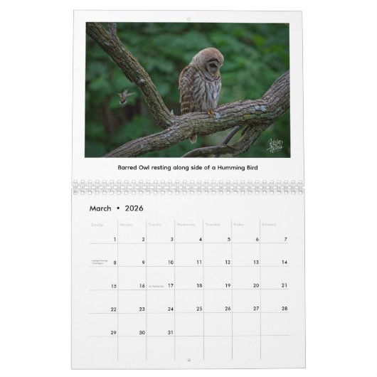 2026 Wildlife Calendar by Kevin Harris Kalender (Mar 2026)