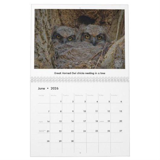 2026 Wildlife Calendar by Kevin Harris Kalender (Jun 2026)