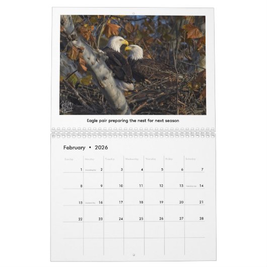 2026 Wildlife Calendar by Kevin Harris Kalender (Feb 2026)