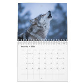 2026 Wildlife Photography Calendar | Wild Animals  Kalender (Feb 2026)