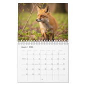 2026 Wildlife Photography Calendar | Wild Animals  Kalender (Mar 2026)