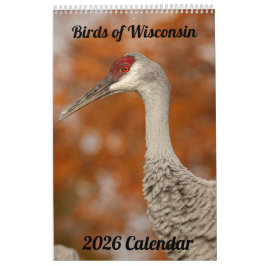 2026 Wisconsin Birds Calendar Kalender