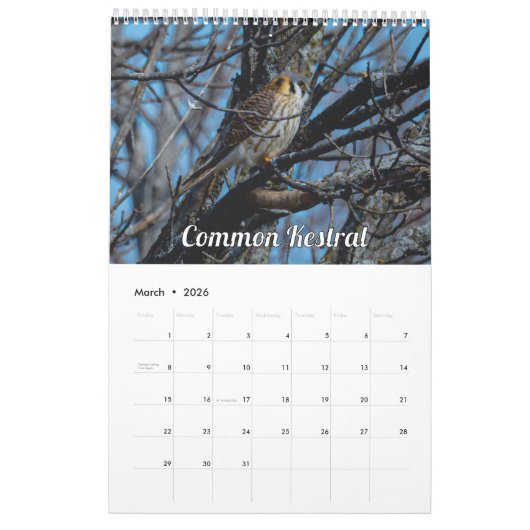 2026 Wisconsin Birds Calendar Kalender (Mar 2026)