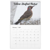 2026 Wisconsin Vogels Kalender (Feb 2027)