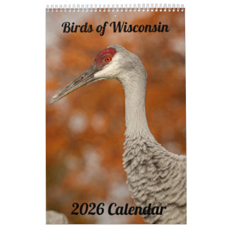 2026 Wisconsin Vogels Kalender