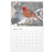 2026 Wisconsin Vogels Kalender (Feb 2027)