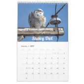 2026 Wisconsin Vogels Kalender (Jan 2027)