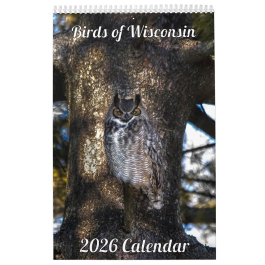 2026 Wisconsin Vogels Kalender (Hoes)