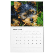 2026 Yorkshire Terrier hondenliefhebber eigenaar Y Kalender (Feb 2026)