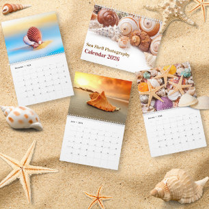 2026 Zee Schelp Kust Schelp Fotografie Kalender