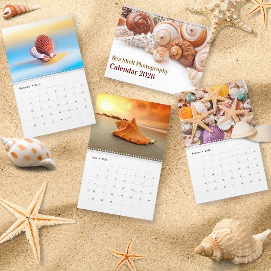 2026 Zee Schelp | Kust Schelp Fotografie Kalender