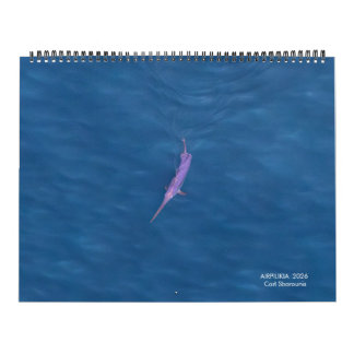 2026 Zwaardvis Kalender