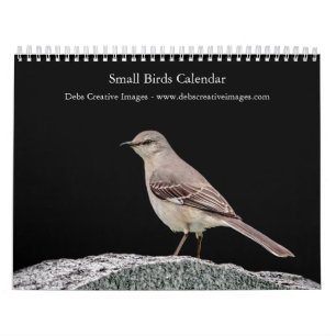 2027 Achtertuin Zangvogels Noord-Amerikaanse Vog Kalender
