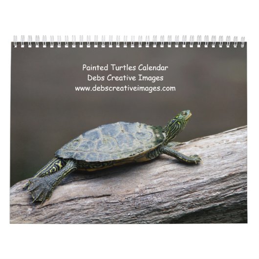 2027 Adirondack geschilderde schildpadden | Wilde  Kalender (Hoes)