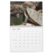 2027 Adirondack geschilderde schildpadden | Wilde  Kalender (Mar 2027)
