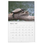 2027 Adirondack geschilderde schildpadden | Wilde  Kalender (Feb 2027)