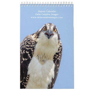 2027 Adirondack Visarend Familie Natuurfotografi Kalender