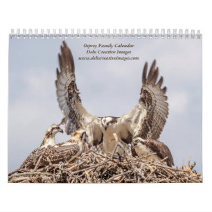2027 Adirondack Visarend Familie Wilde dieren Kalender