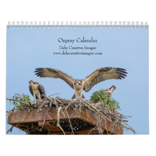 2027 Adirondack Visarend   Roofvogelfotografie Kalender