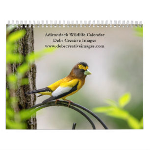 2027 Adirondack Wildlife   Berg Natuur Kalender