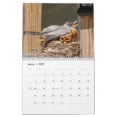 2027 Adirondack Wildlife | Berg Natuur Kalender (Mar 2027)