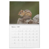2027 Adirondack Wildlife | Berg Natuur Kalender (Feb 2027)