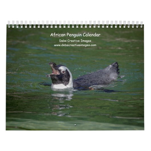 2027 Afrika-pinguïns | Zuid-Afrikaanse Wilde Diere Kalender (Hoes)