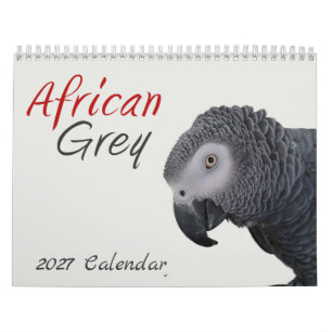 2027 Afrikaanse Grijze Papegaai Kalender
