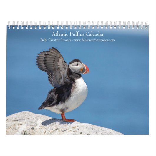 2027 Atlantische Papegaaiduikers | Kustwildlife Fo Kalender (Hoes)