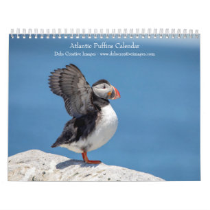2027 Atlantische Papegaaiduikers   Kustwildlife Fo Kalender