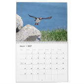2027 Atlantische Papegaaiduikers | Kustwildlife Fo Kalender (Mar 2027)