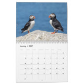 2027 Atlantische Papegaaiduikers | Kustwildlife Fo Kalender (Jan 2027)