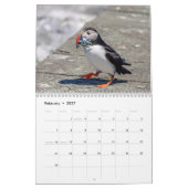 2027 Atlantische Papegaaiduikers | Kustwildlife Fo Kalender (Feb 2027)