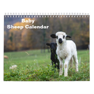 2027 Baby Schaap Lam Kalender