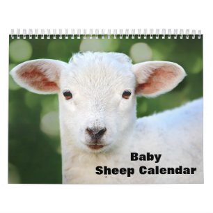 2027 Baby Schaap Lam Kalender
