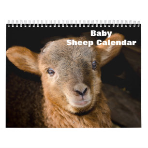 2027 Babyschaap Lam Kalender
