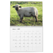 2027 Babyschaap Lam Kalender (Mar 2027)