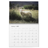 2027 Babyschaap Lam Kalender (Jan 2027)