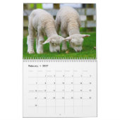 2027 Babyschaap Lam Kalender (Feb 2027)
