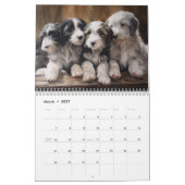 2027 Bearded Collies Kalender (Mar 2027)