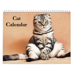 2027 Bengaalse Kat Kalender