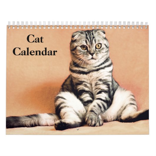 2027 Bengaalse Kat Kalender (Hoes)