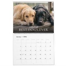 2027 Beste Honden Ooit Maak Je Eigen Foto Huisdier