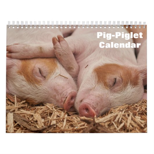 2027 Big-Bigje kalender (Hoes)