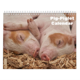2027 Big-Bigje kalender