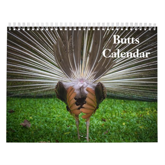 2027 Billen Kalender (Hoes)