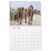 2027 Billen Kalender (Jan 2027)