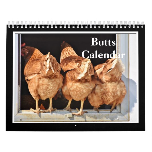 2027 Billen Kalender (Hoes)